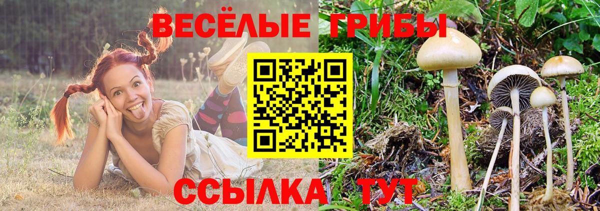 Ивантеевка  как найти закладки  Вход с VPN  Галлюциногенные грибы прущие грибы 